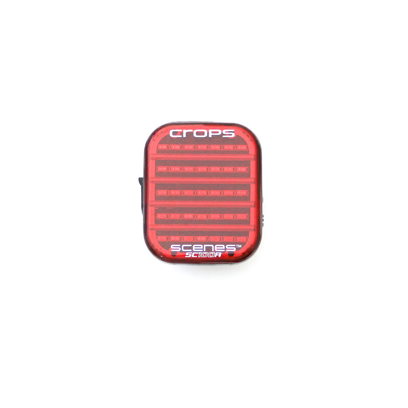 SCNENS SC100R "シーンズ"（USB Type-Cタイプ）