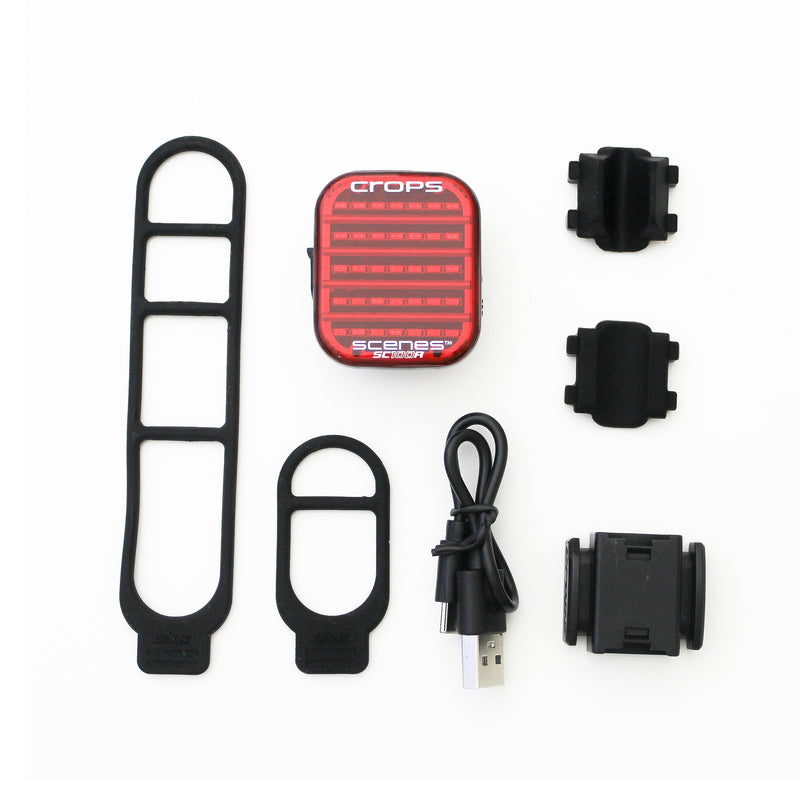 SCNENS SC100R "シーンズ"（USB Type-Cタイプ）